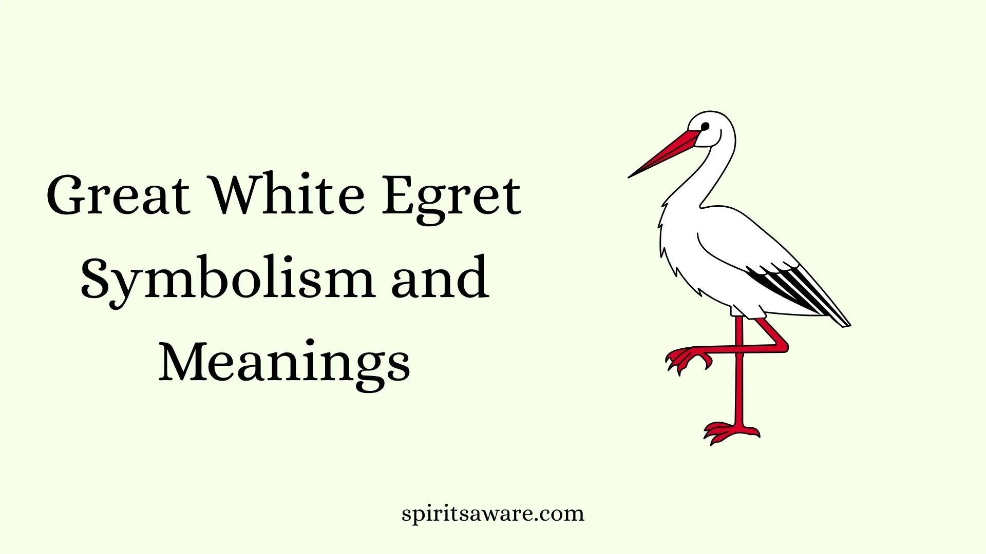 Great White Egret Symbolism and Meanings
