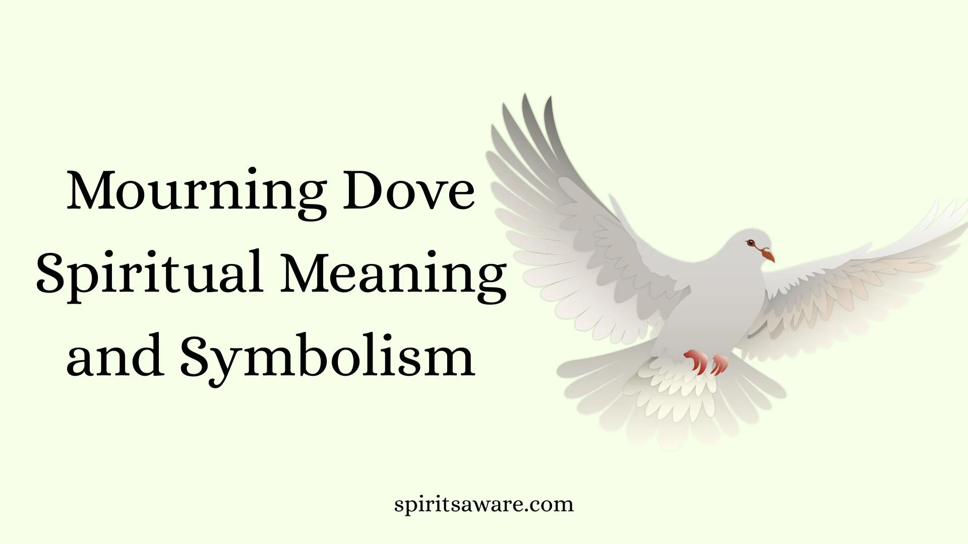 Mourning Dove Spiritual Meaning and Symbolism