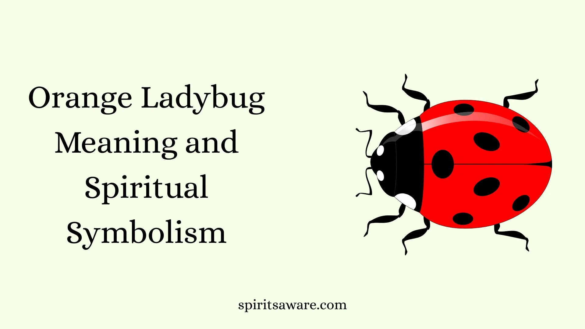 Orange Ladybug Meaning and Spiritual Symbolism
