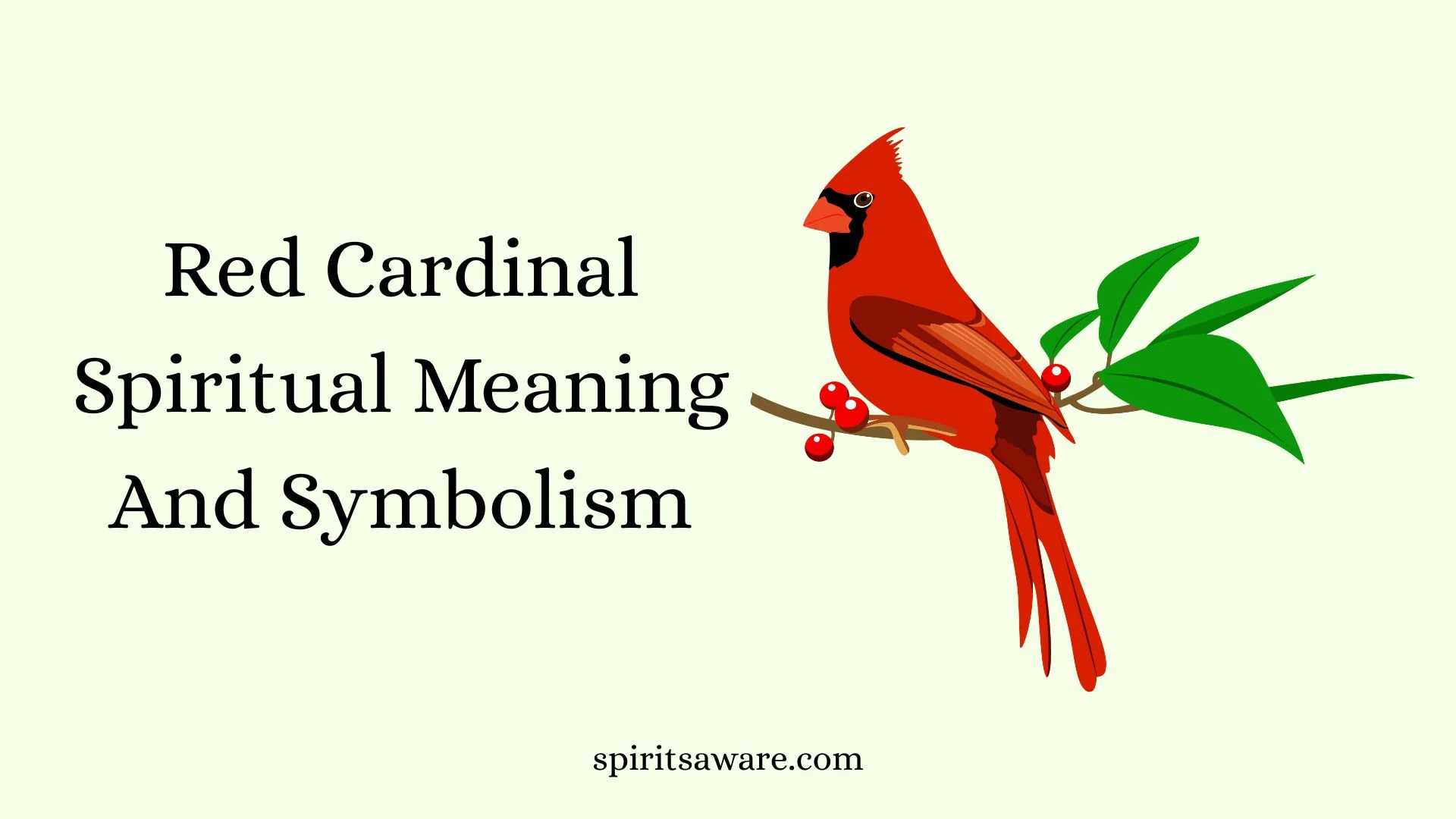 Red Cardinal Spiritual Meaning And Symbolism