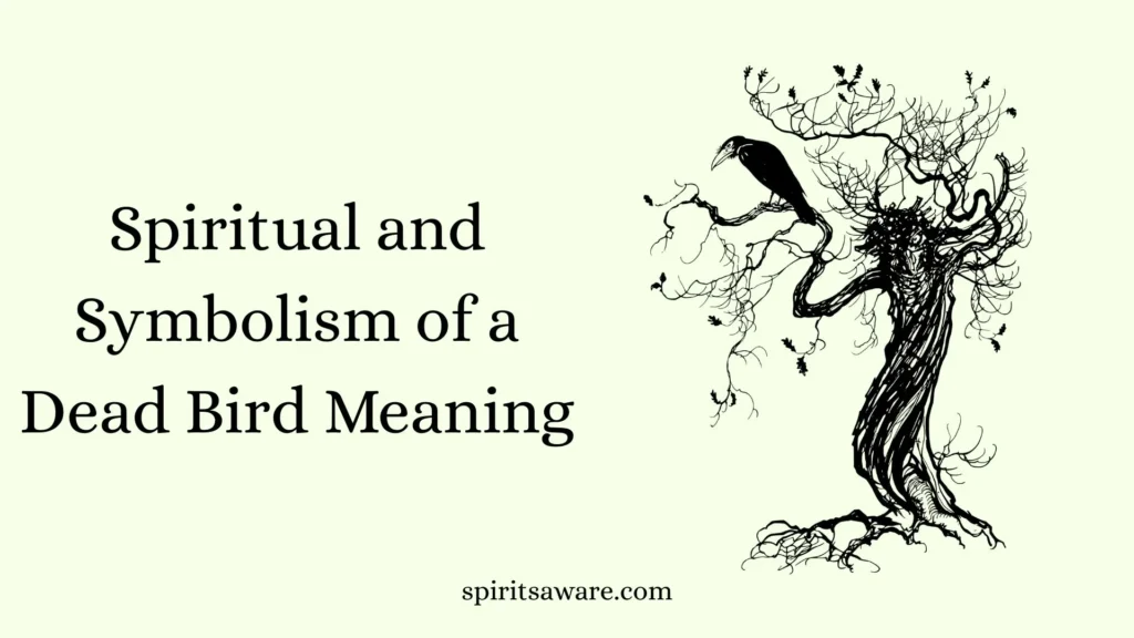 Spiritual and Symbolism of a Dead Bird Meaning