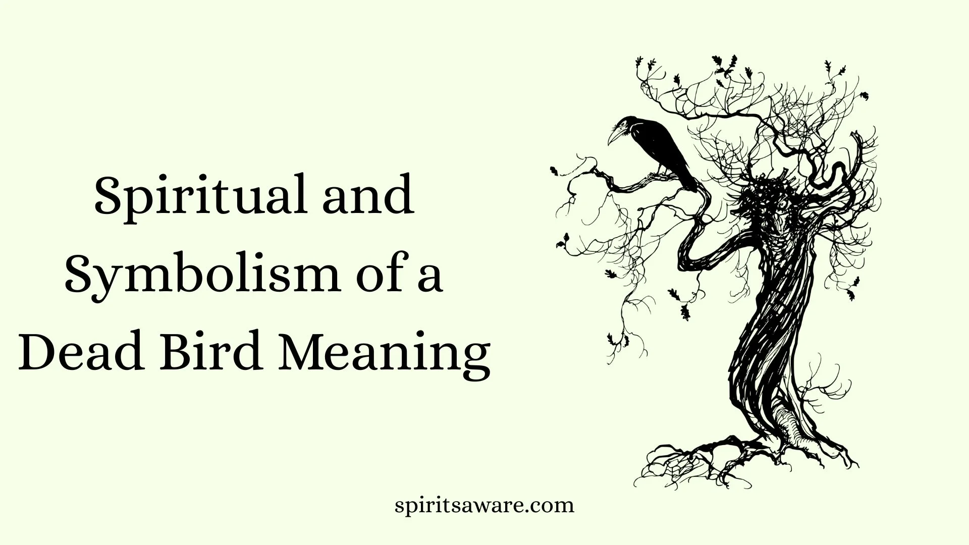 Spiritual and Symbolism of a Dead Bird Meaning