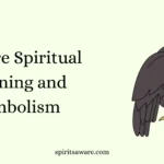 Vulture Spiritual Meaning and Symbolism