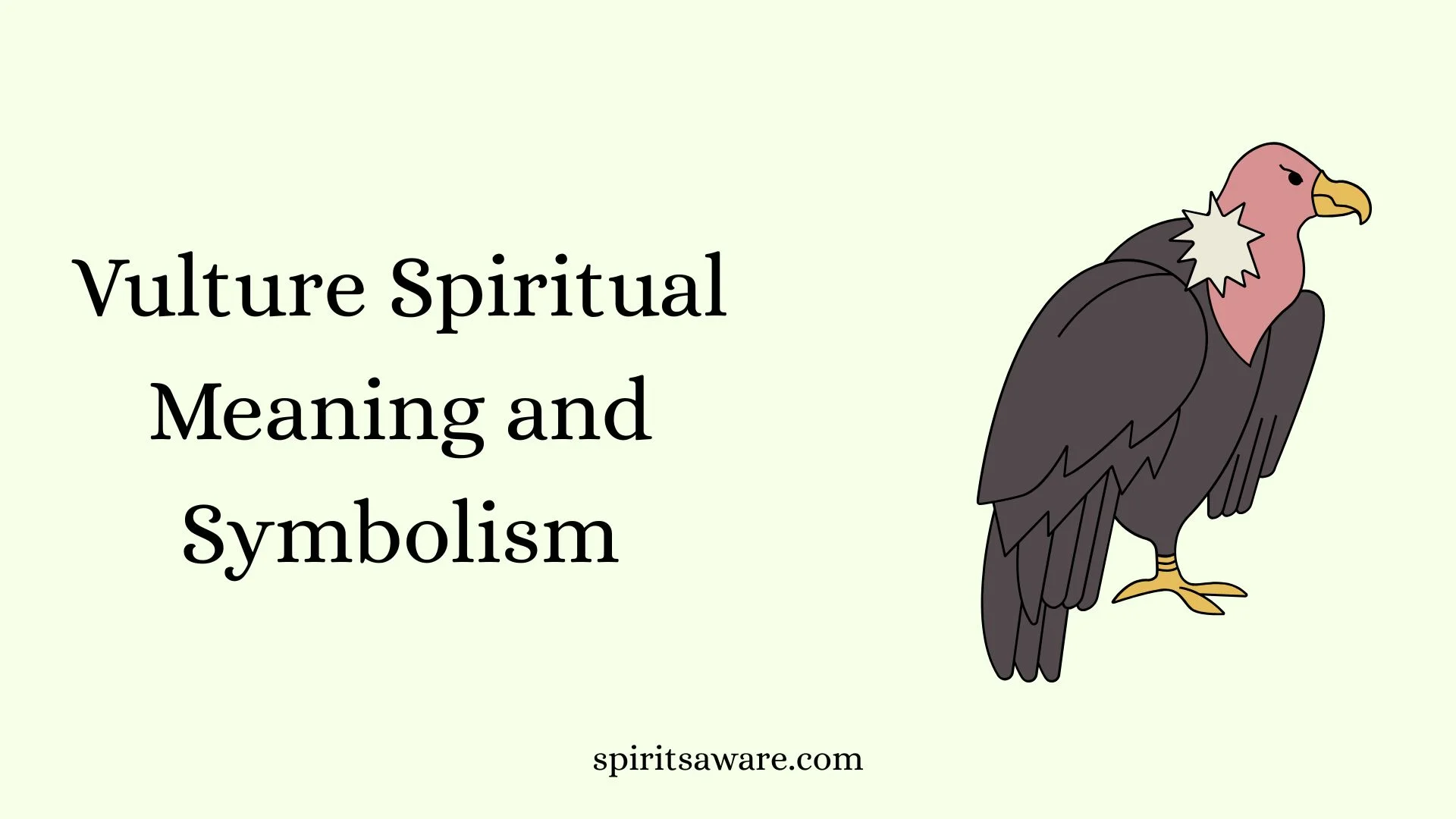 Vulture Spiritual Meaning and Symbolism