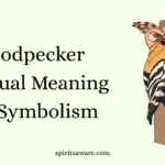 Woodpecker Spiritual Meaning and Symbolism
