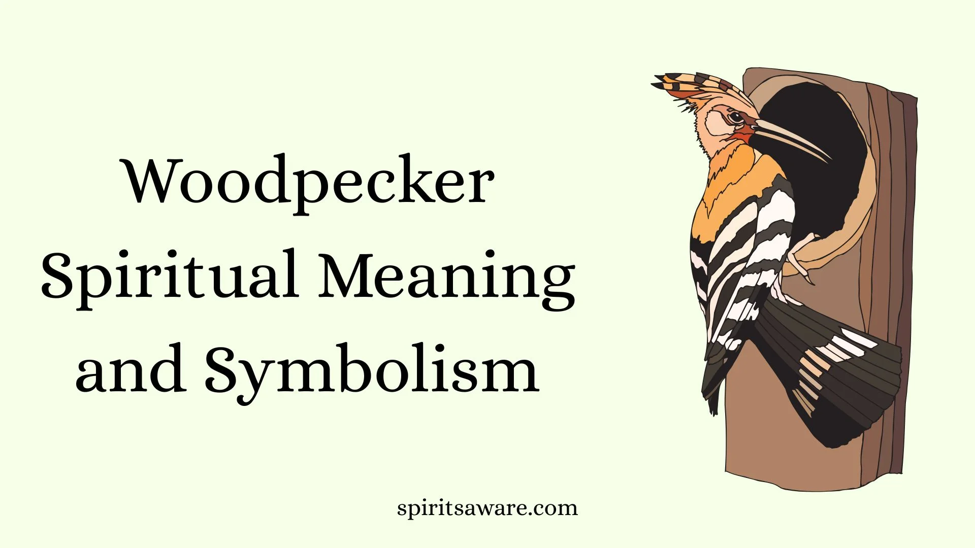 Woodpecker Spiritual Meaning and Symbolism