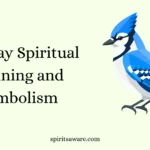 Blue Jay Spiritual Meaning and Symbolism