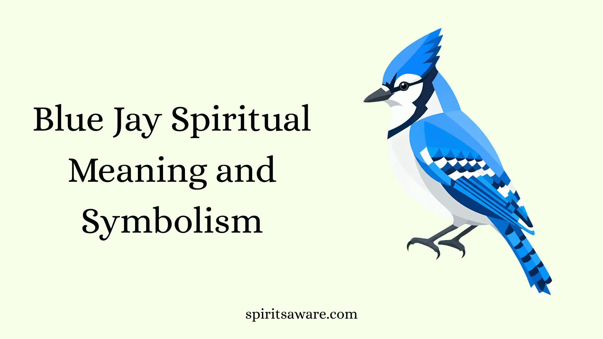 Blue Jay Spiritual Meaning and Symbolism