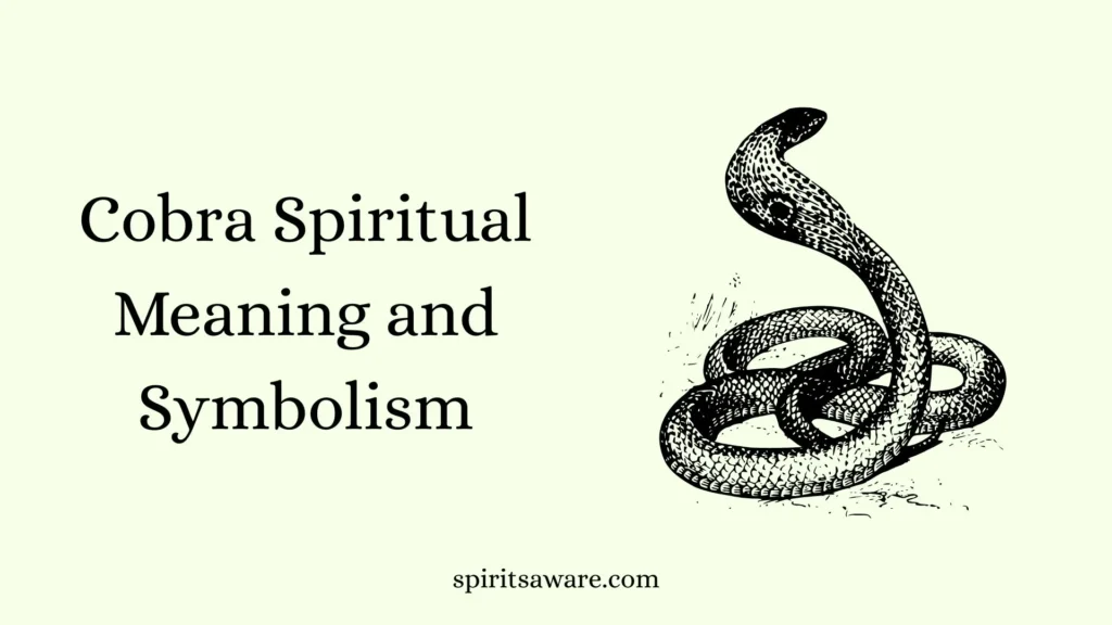 Cobra Spiritual Meaning and Symbolism