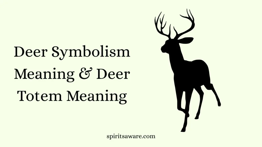 Deer Symbolism Meaning & Deer Totem Meaning