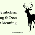 Deer Symbolism Meaning & Deer Totem Meaning
