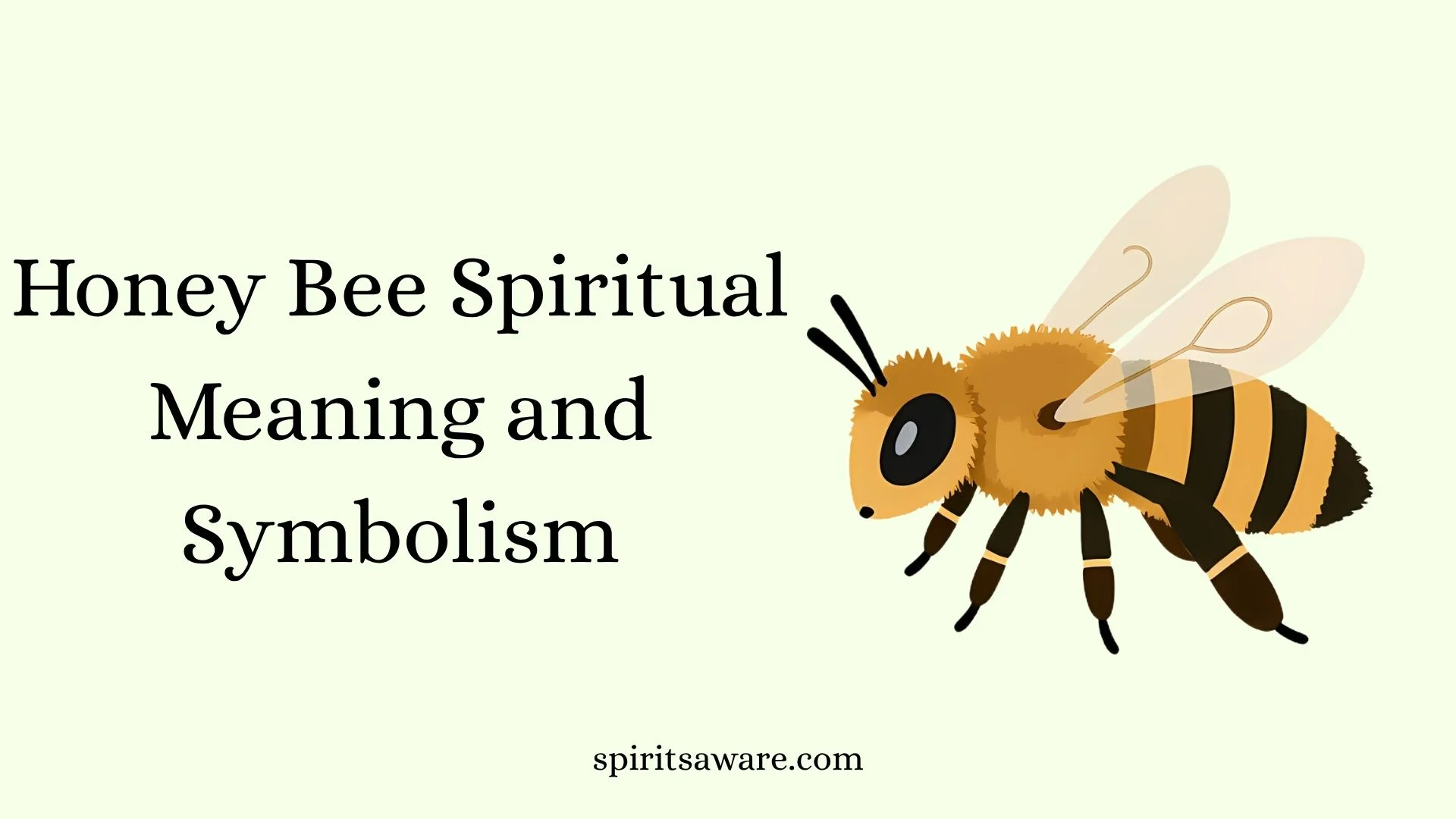 Honey Bee Spiritual Meaning and Symbolism