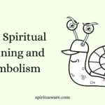 Slug Spiritual Meaning and Symbolism