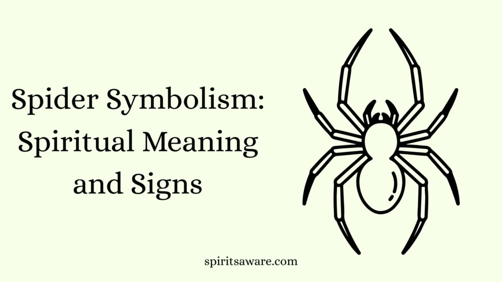 Spider Symbolism: Spiritual Meaning and Signs