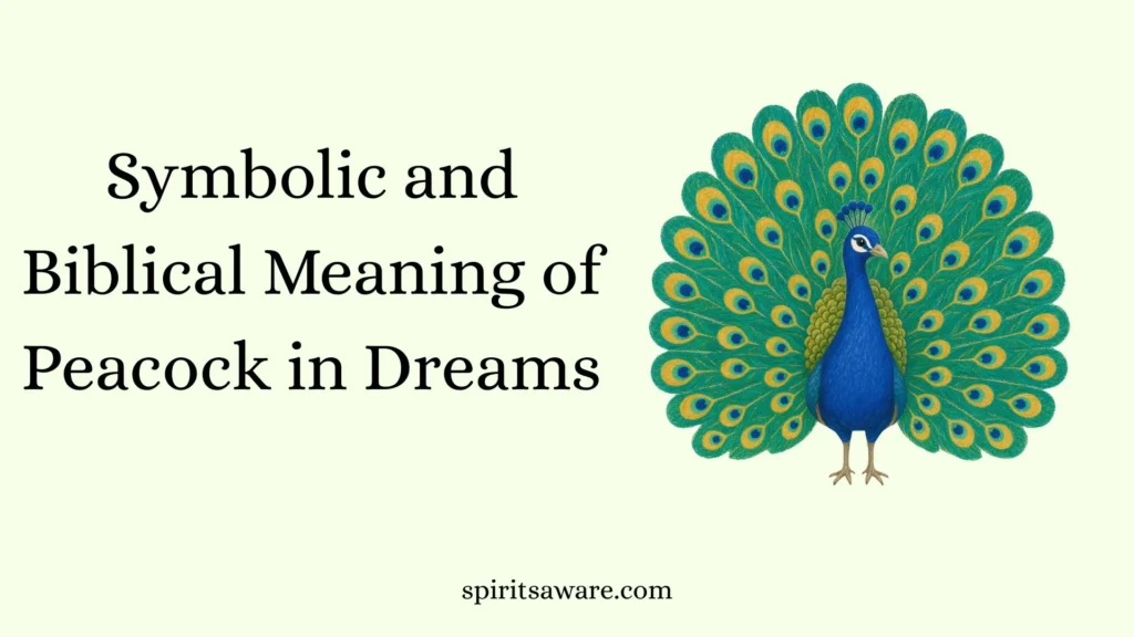 Symbolic and Biblical Meaning of Peacock in Dreams