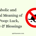 Symbolic and Spiritual Meaning of Bird Poop: Luck, Change & Blessings