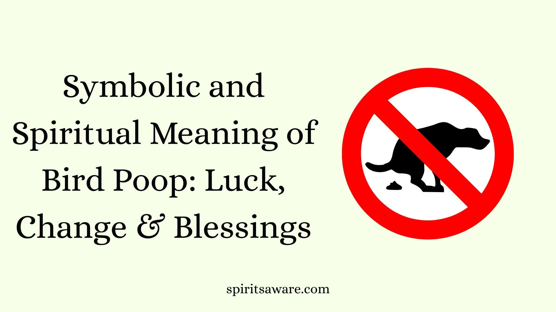 Symbolic and Spiritual Meaning of Bird Poop: Luck, Change & Blessings