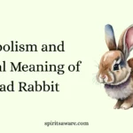 Symbolism and Spiritual Meaning of a Dead Rabbit