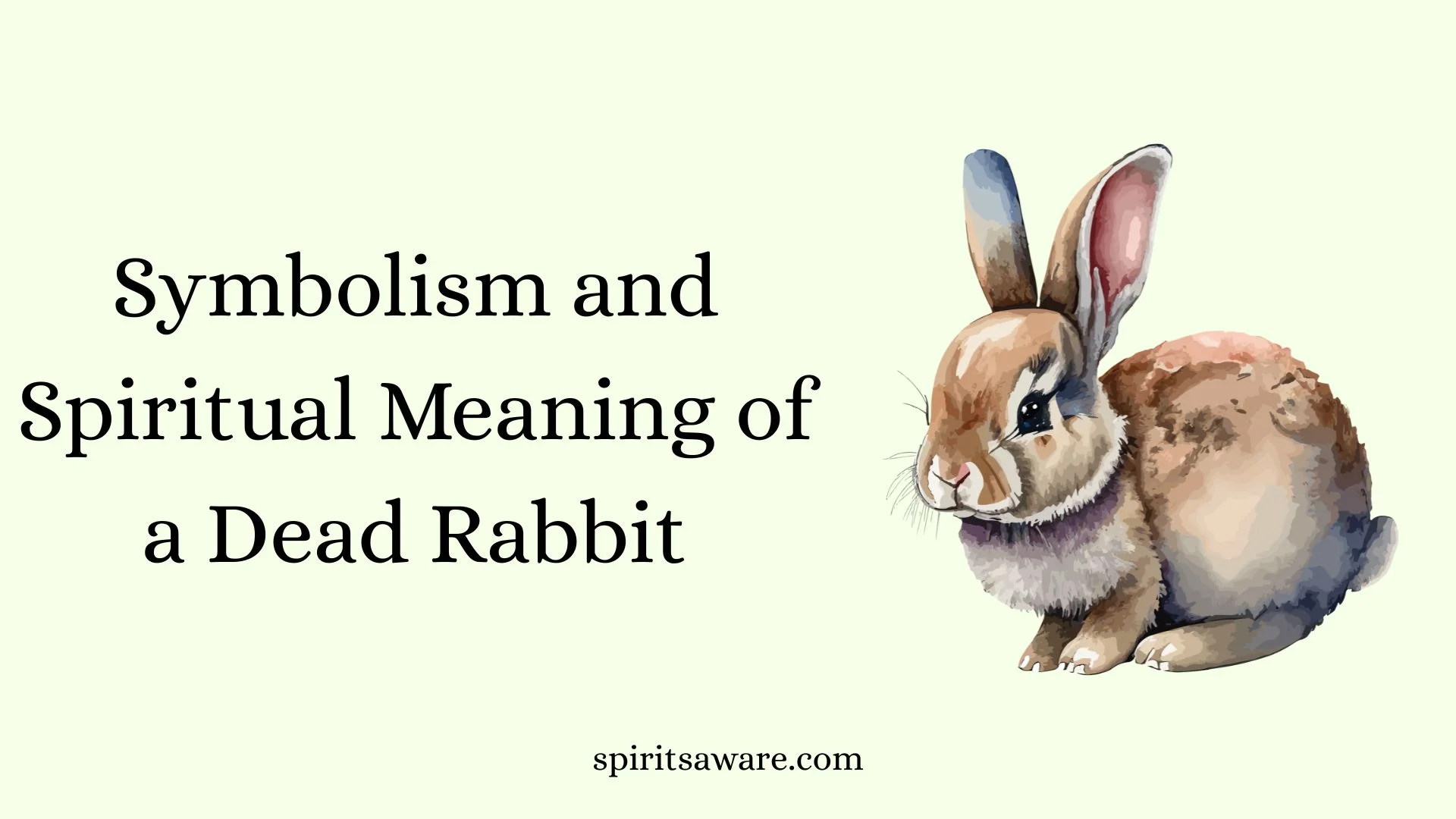 Symbolism and Spiritual Meaning of a Dead Rabbit